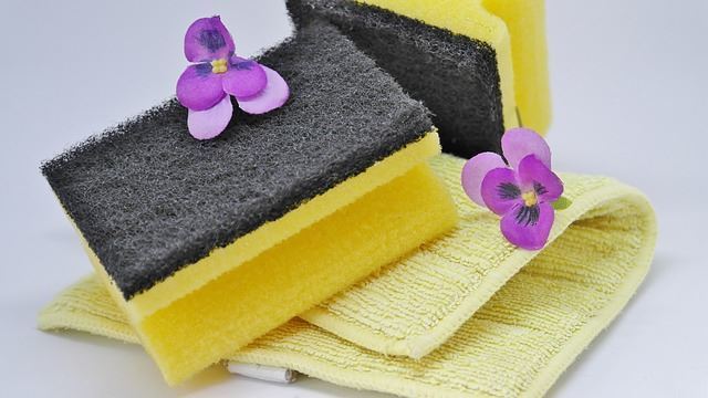 Cleaning sponge.