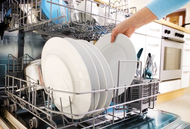 Dishwasher with plates.