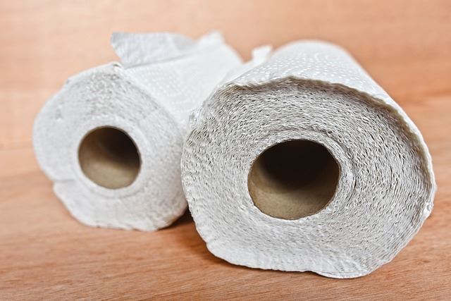 Paper towel rolls.