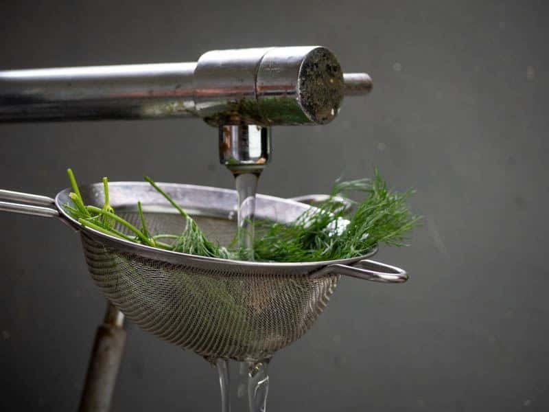 How to Chop Dill - Step 2 image. Rinsing the dill. inthekitch.net
