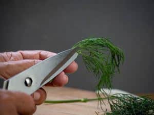How to Chop Dill - Step 4 image. Cutting the dill. inthekitch.net