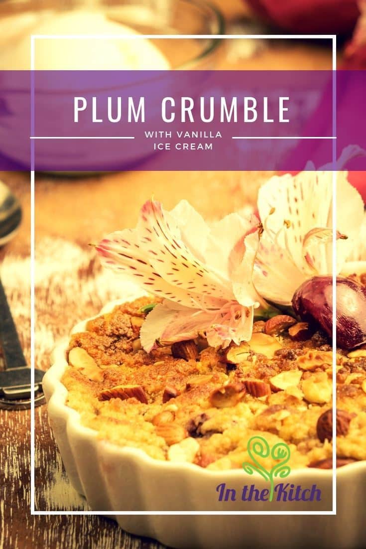 Plum Crumble with Vanilla Ice Cream Plum Crumble with Vanilla Ice Cream