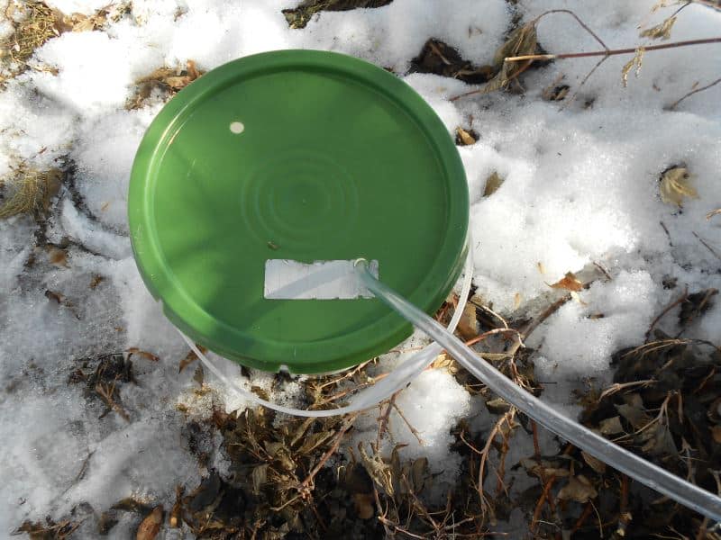 A siphon leading into a pail with green lid, snow on the ground.