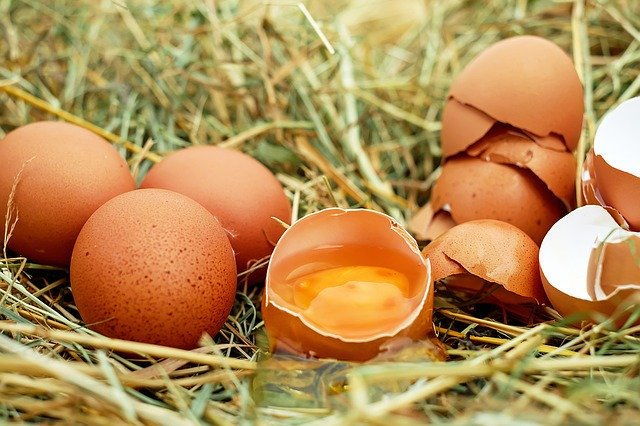 Brown eggs on grass. One egg cracked in half with yolk in it.