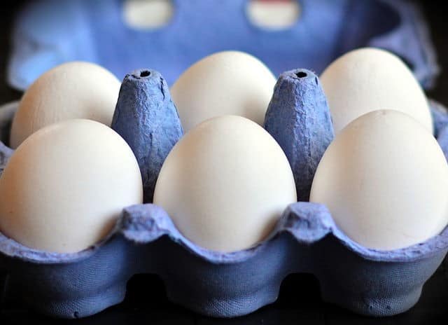 White eggs in a blue carton.