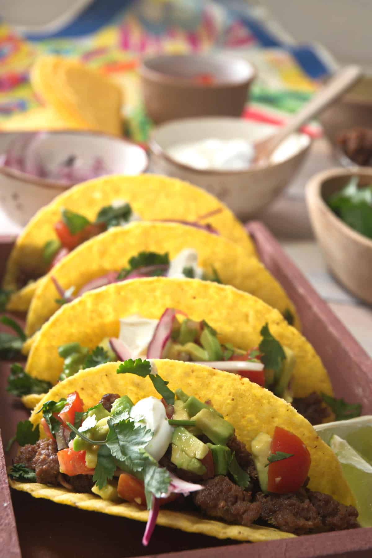 Bison hard tacos layered in a dish.