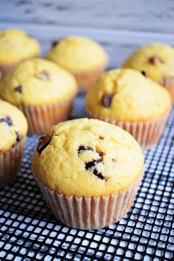 Chocolate Chip Orange Zest Muffins, white distressed wood background.