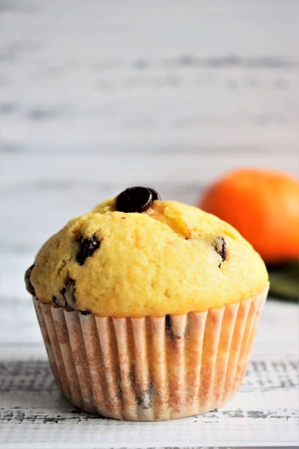 Chocolate Chip Orange Zest Muffin on white wooden background, an orange on the side.