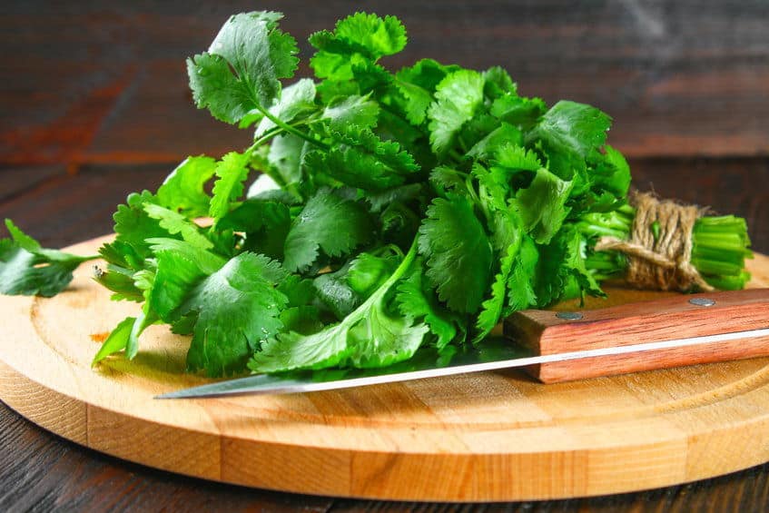 Bunch of fresh cilantro on a board with a knife.