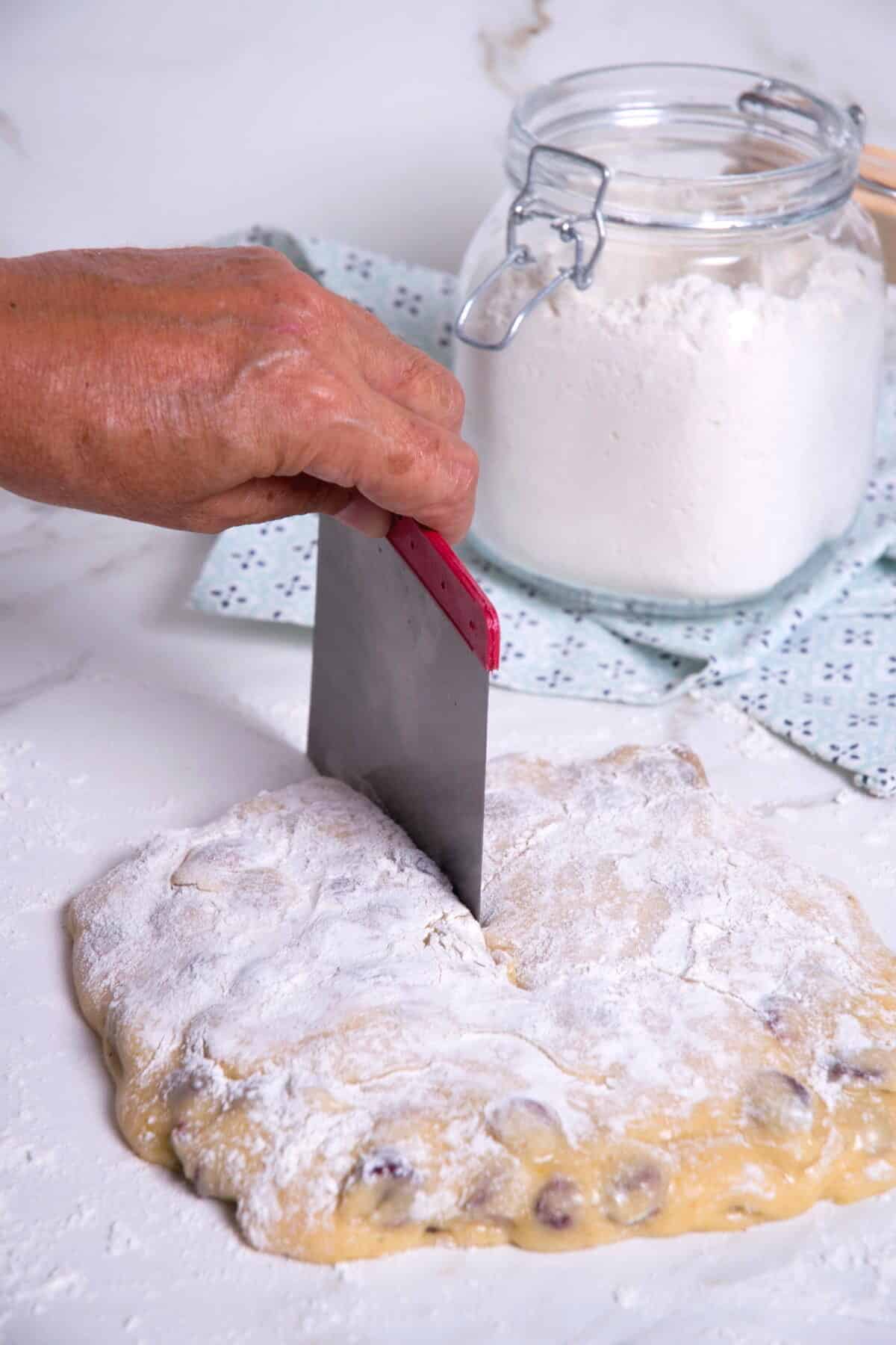 Cranberry biscotti dough on floured surface with scraper.