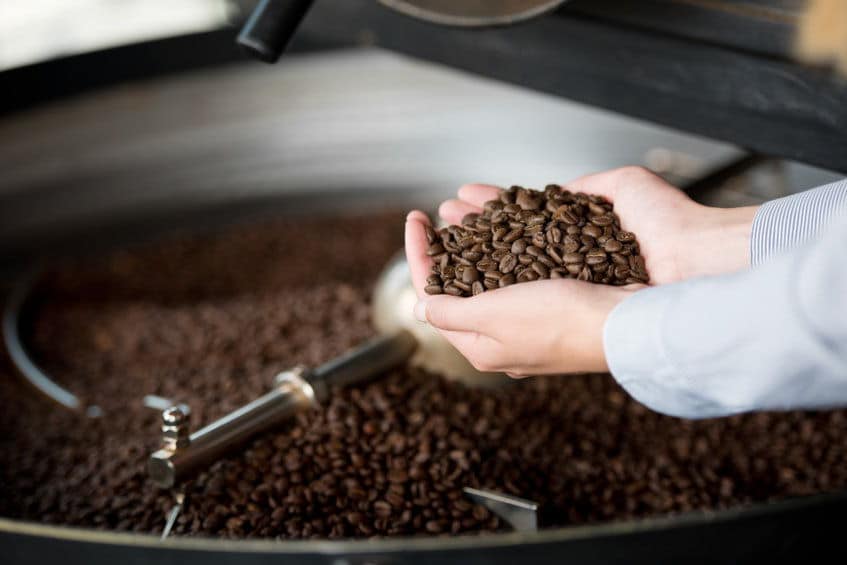 Cropped image of cooling container and waitress's hands holding coffee beans.