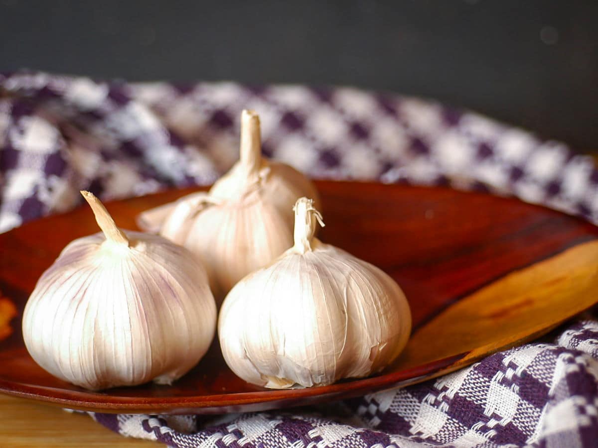 Garlic bulbs on wooden plate.