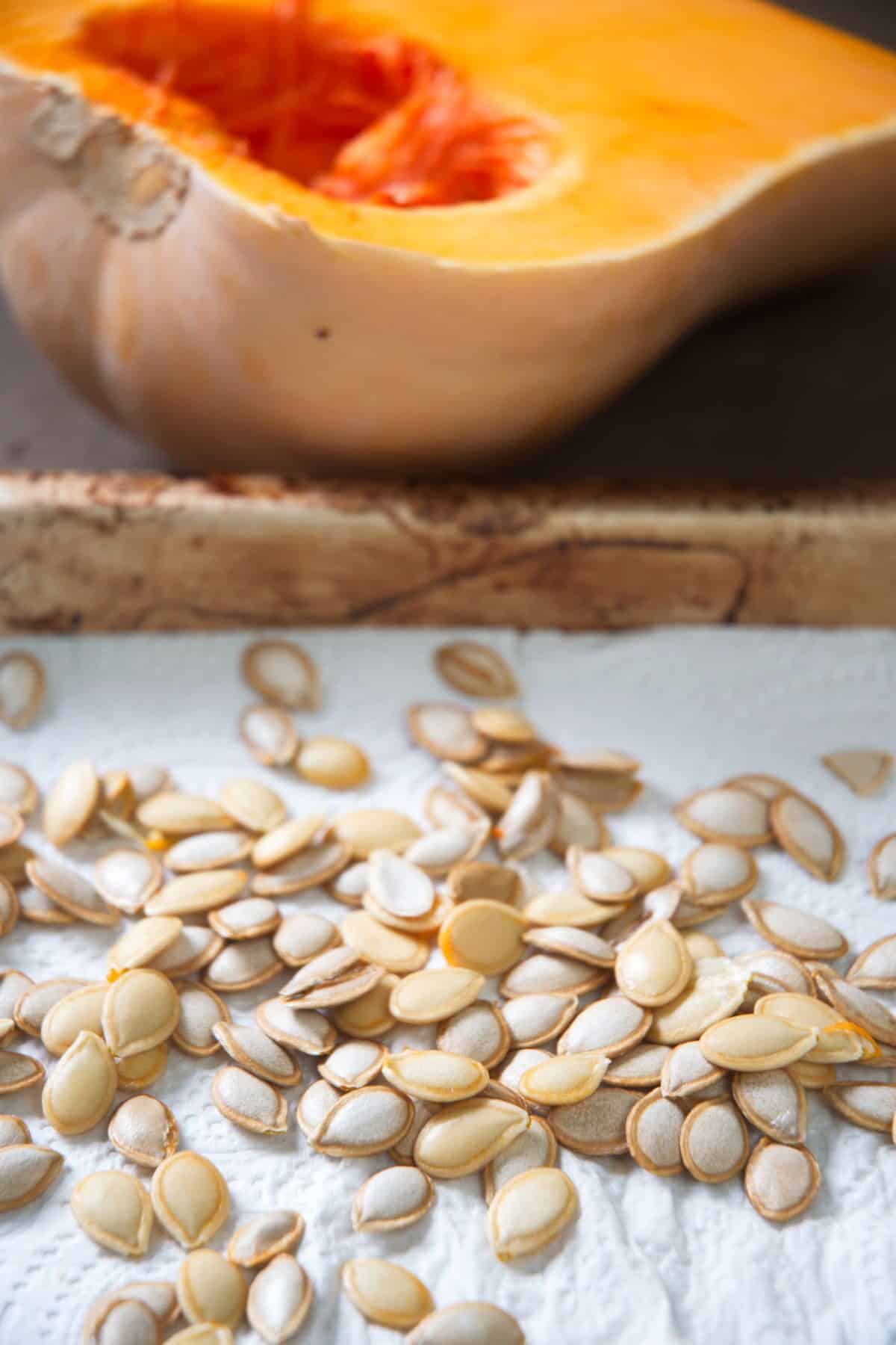 Butternut squash seeds drying on a paper towel.