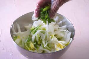 Cabbage, radish and green onion in a steel bowl.