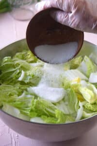 Chopped Napa cabbage in a large steel bowl with salt.