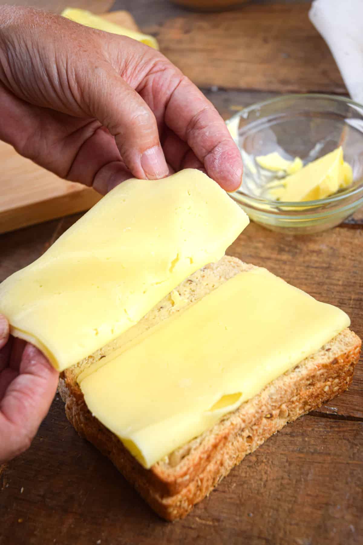 Swiss cheese on multigrain bread.