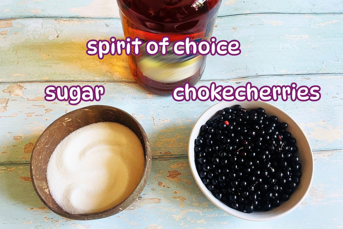 Chokecherry liqueur ingredients labeled on blue wooden background.