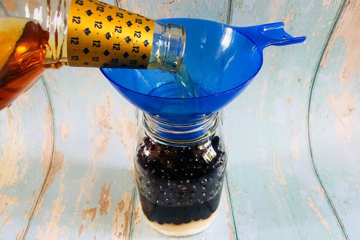 Chokecherries, sugar and whiskey in jar.