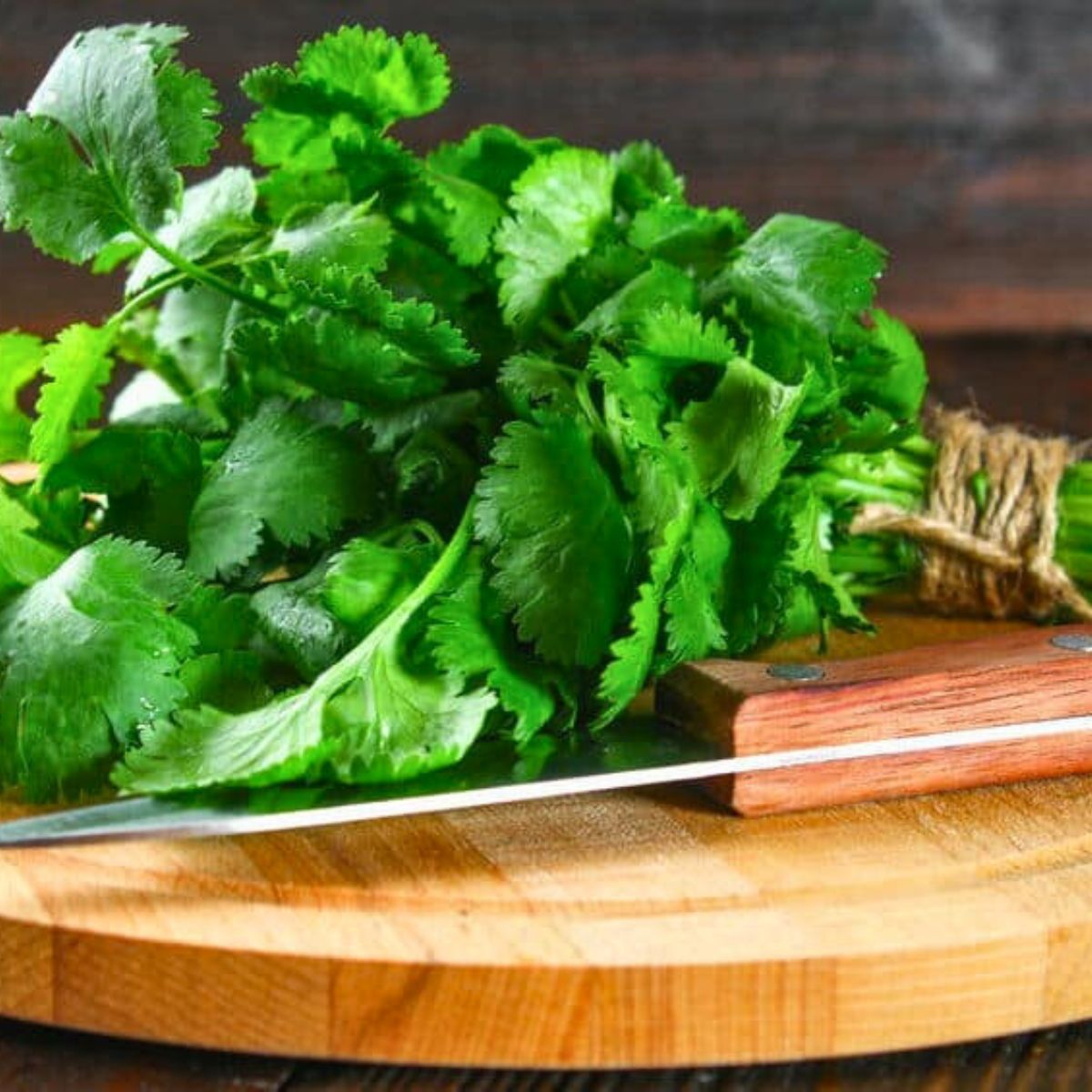 40 Fresh Zesty Cilantro Recipes In The Kitch