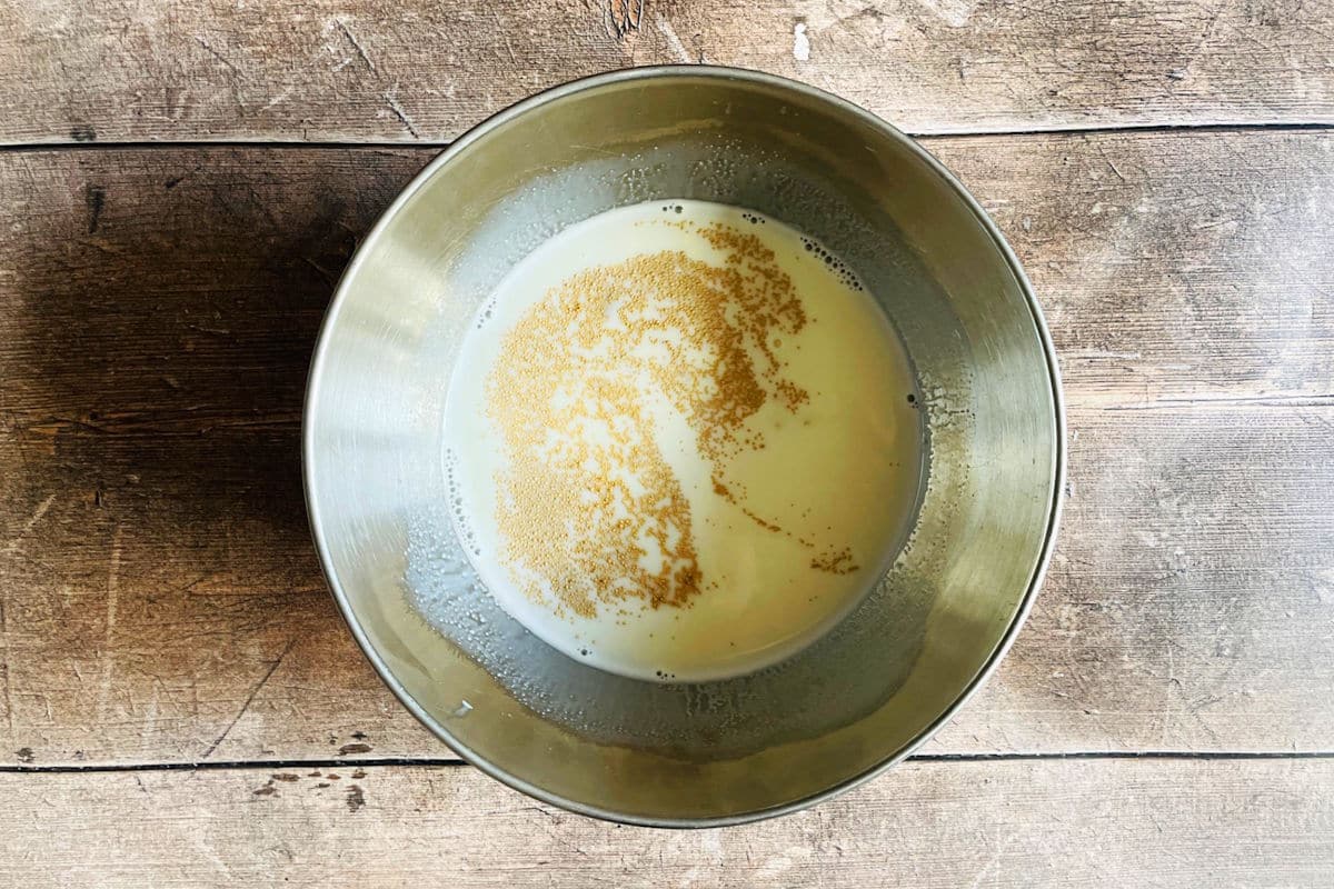 Yeast and milk mixture in bowl.