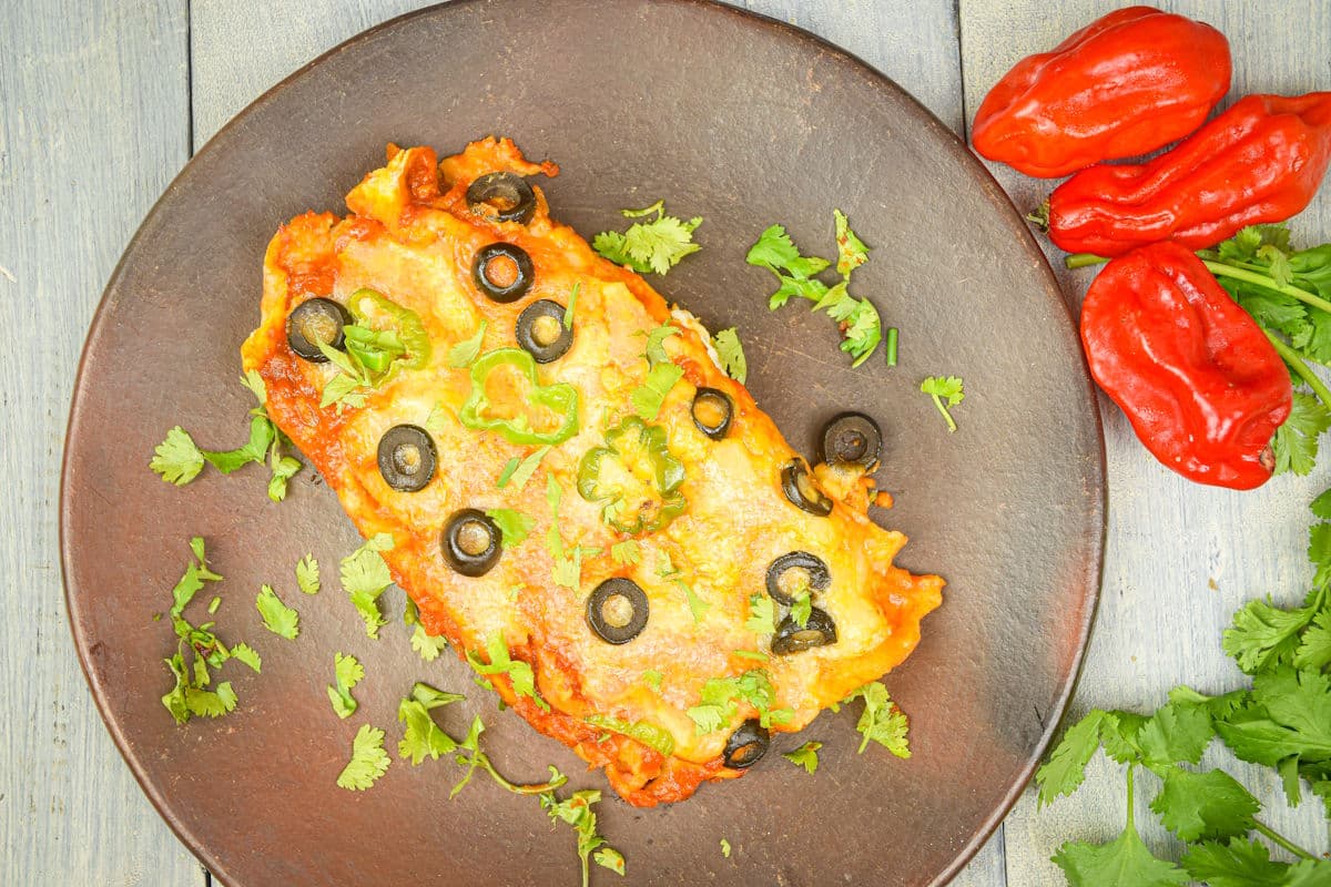 Electric skillet chicken enchiladas on brown plate with chili peppers on the side.