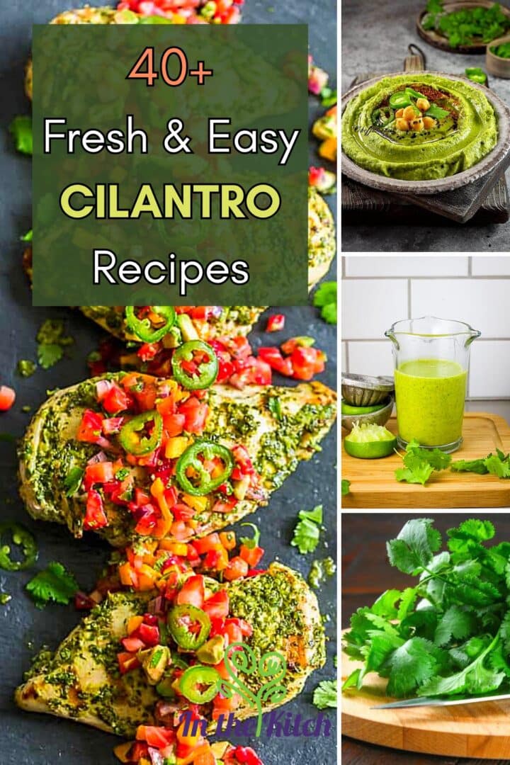 Image collage of cilantro recipes with text overlay that says '40+ Fresh & Easy Cilantro Recipes'.