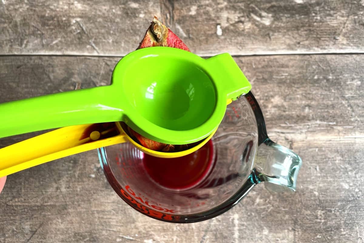 Pomegranate in citrus juicer.