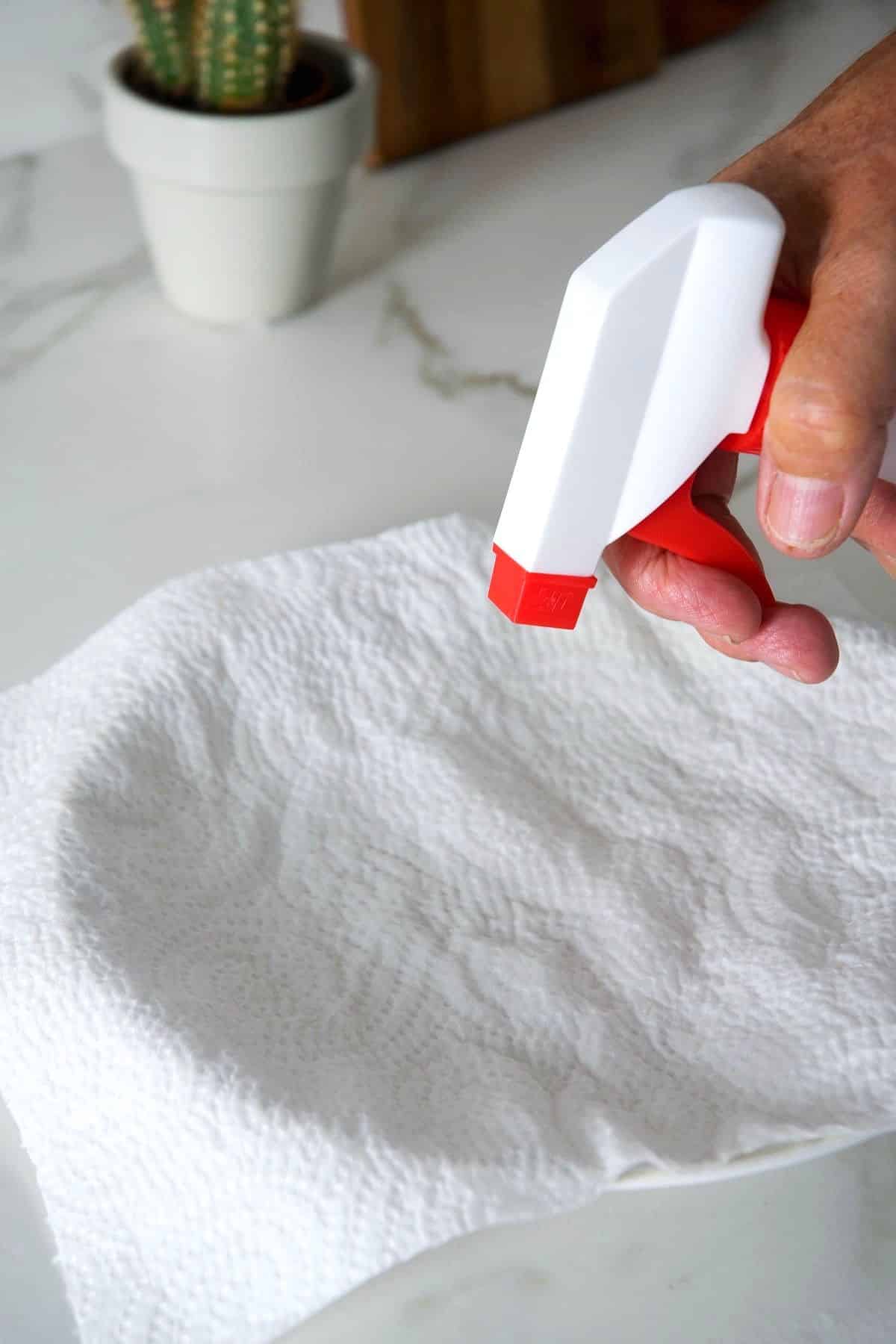 Plate covered in moist paper towel.