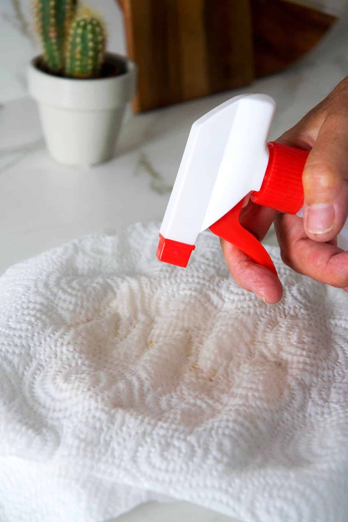 Spray bottle spraying a paper towel over a stack of corn tortillas.