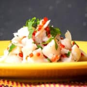 Ceviche on yellow plate.