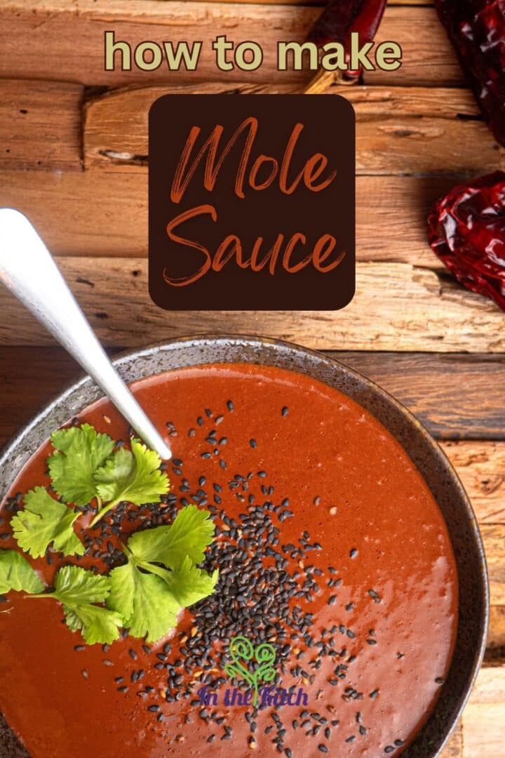 Mole sauce in a bowl with cilantro and black sesame seeds.