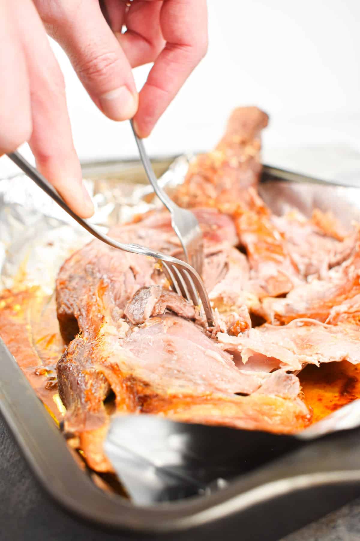 Roasted lamb shoulder getting pulled apart with two forks.