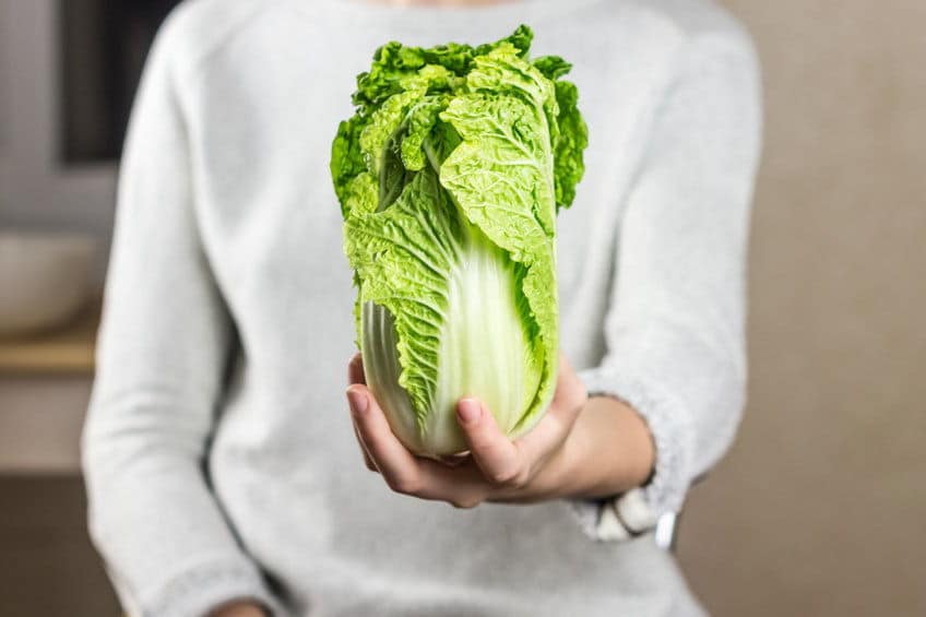 Napa cabbage held upright in woman's hand.